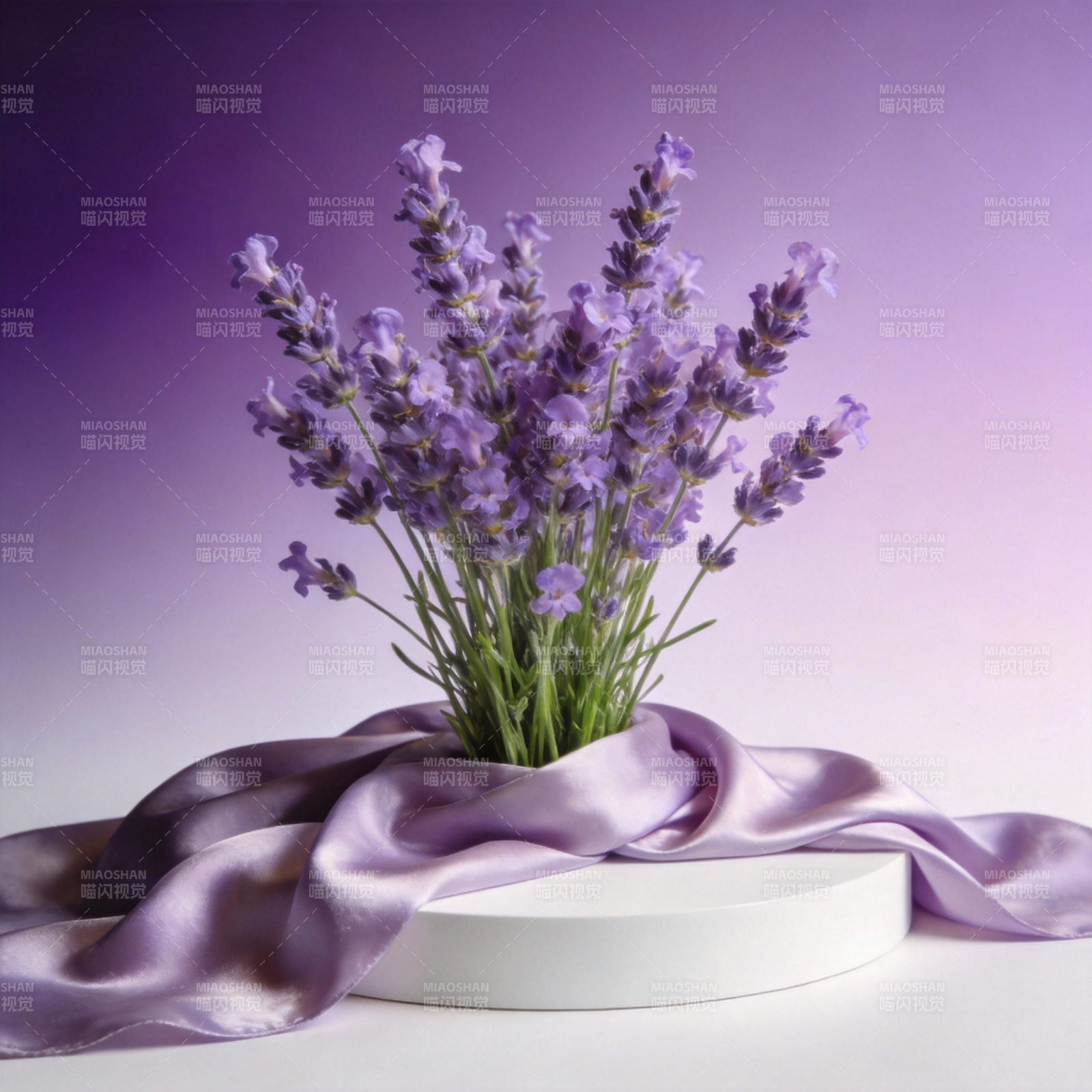 紫薰衣草静谧绽放图片