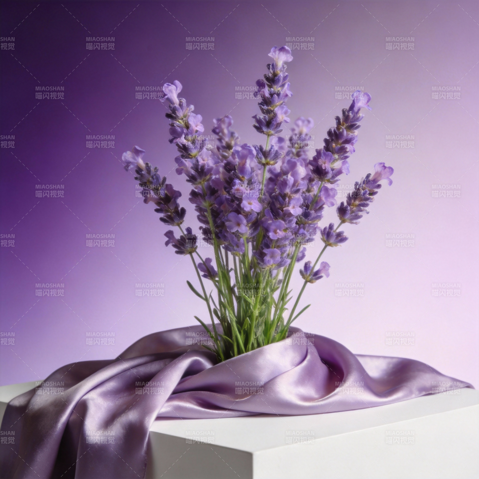 紫韵薰衣草图片