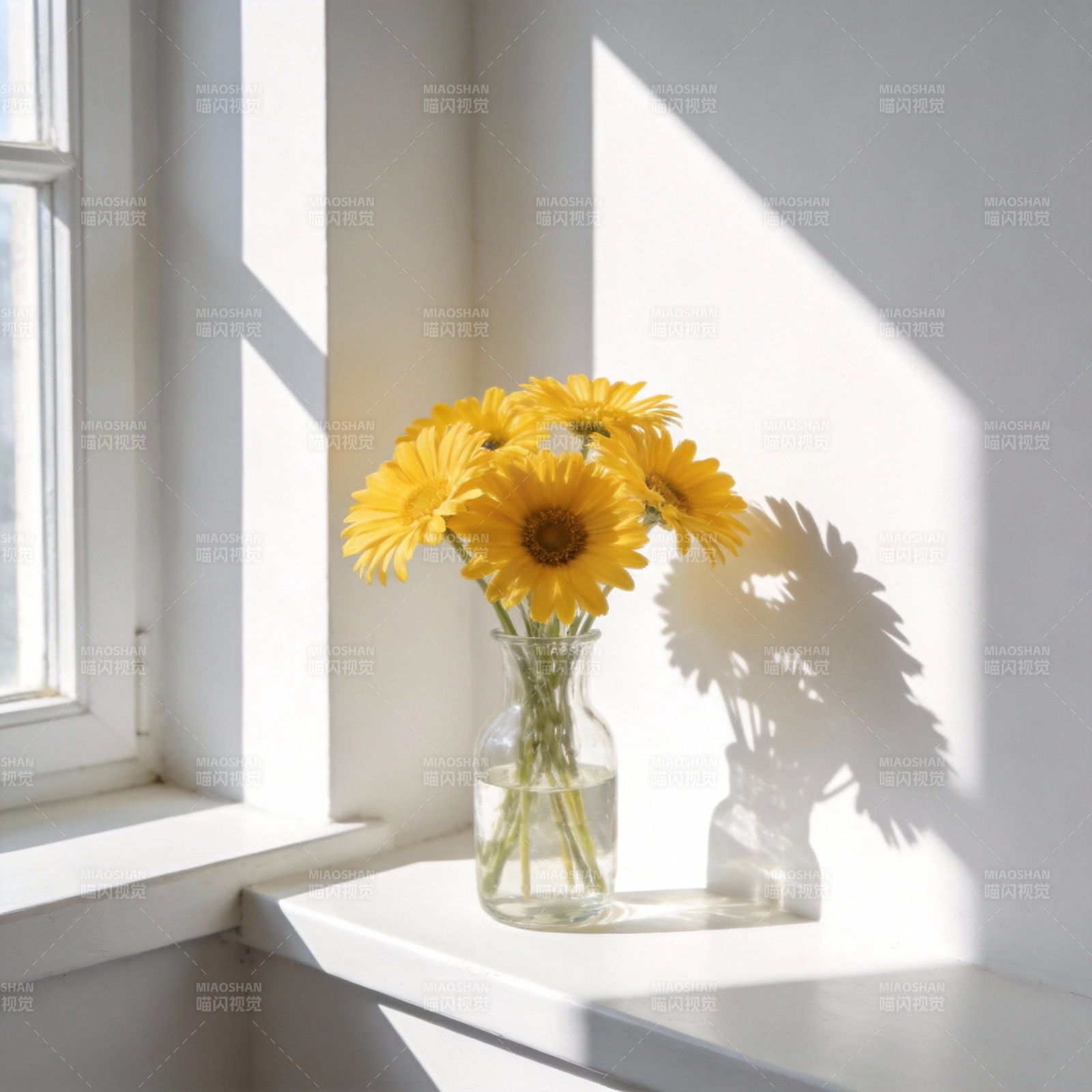 阳光下的向日葵图片