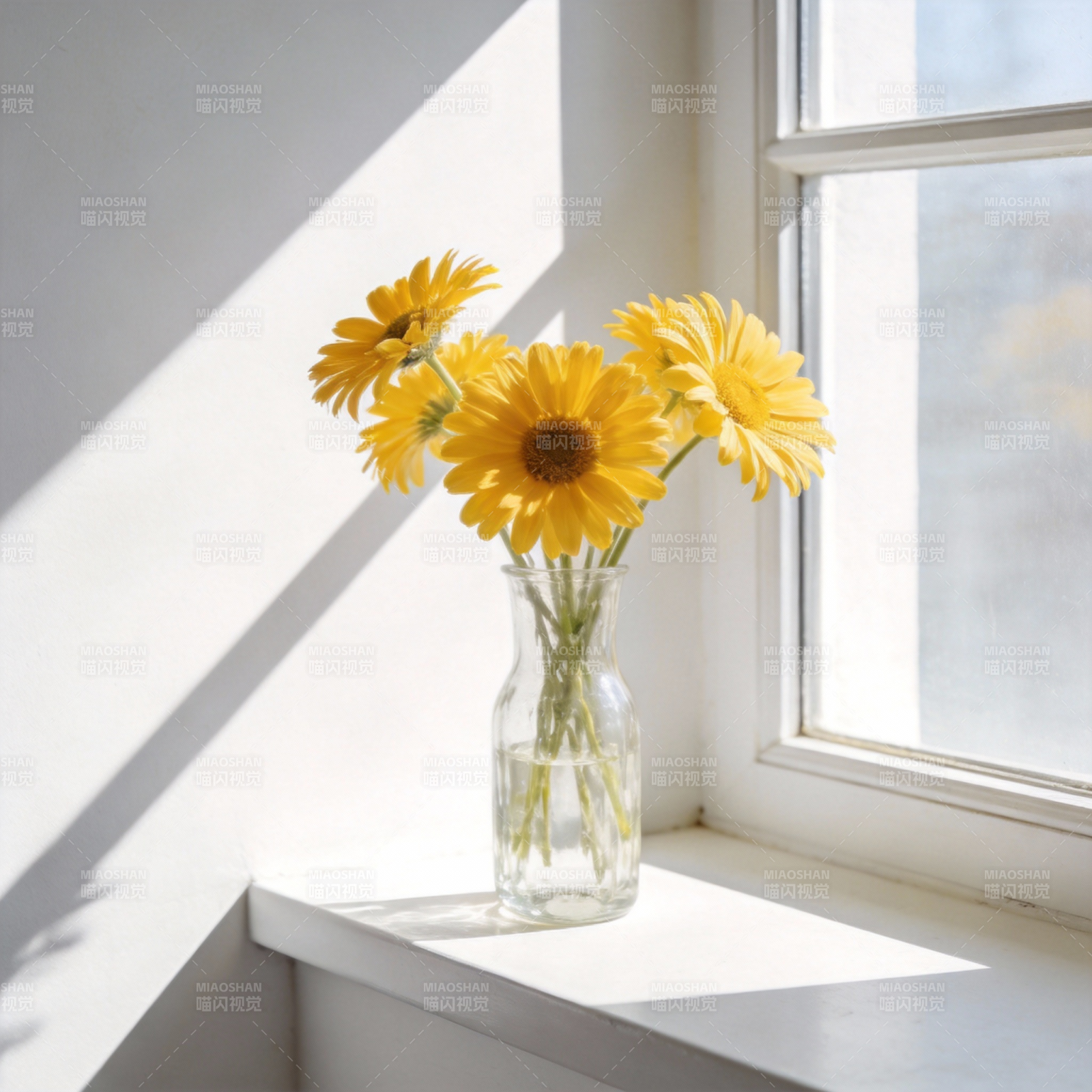 窗台上的向日葵图片
