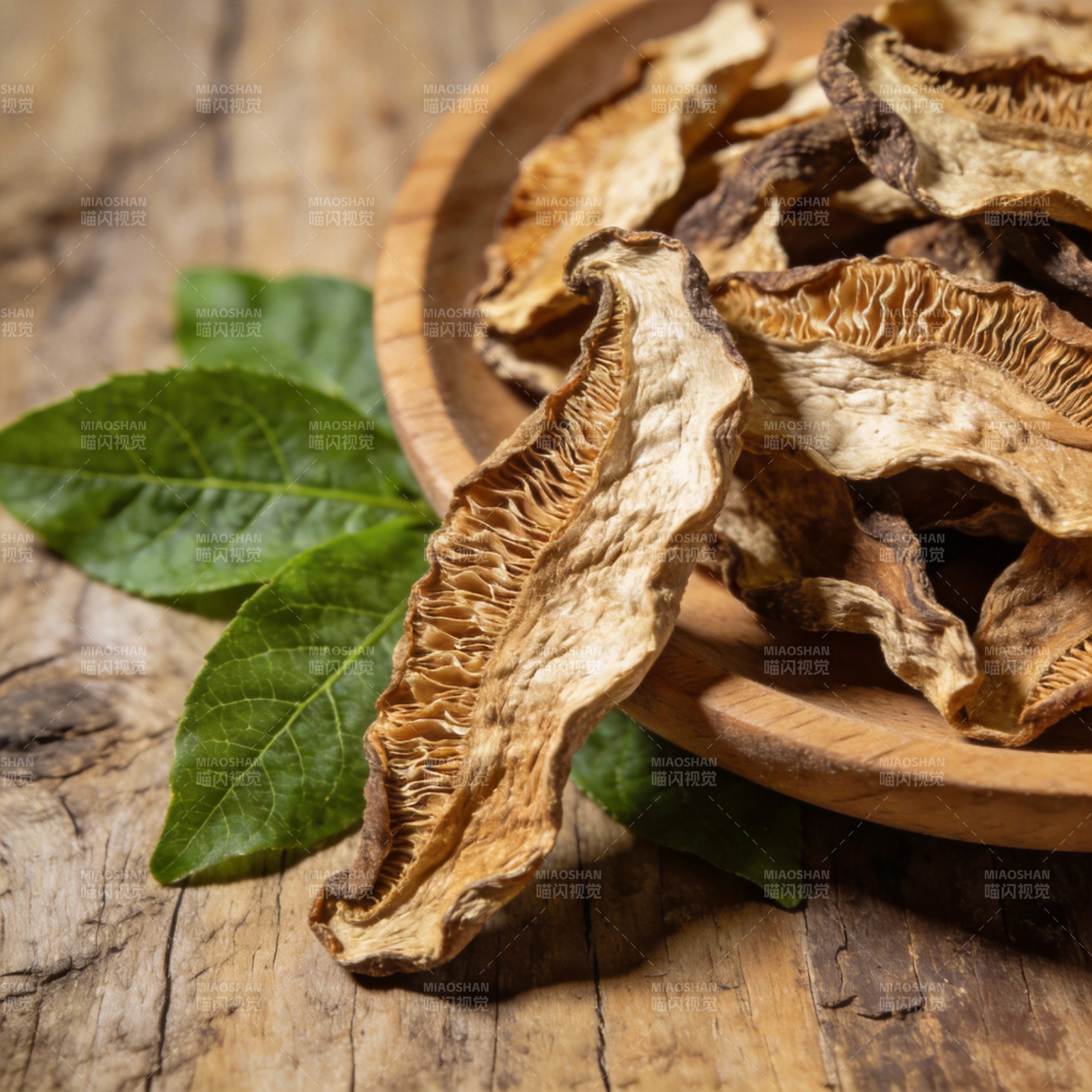 干菌与绿叶静置图片