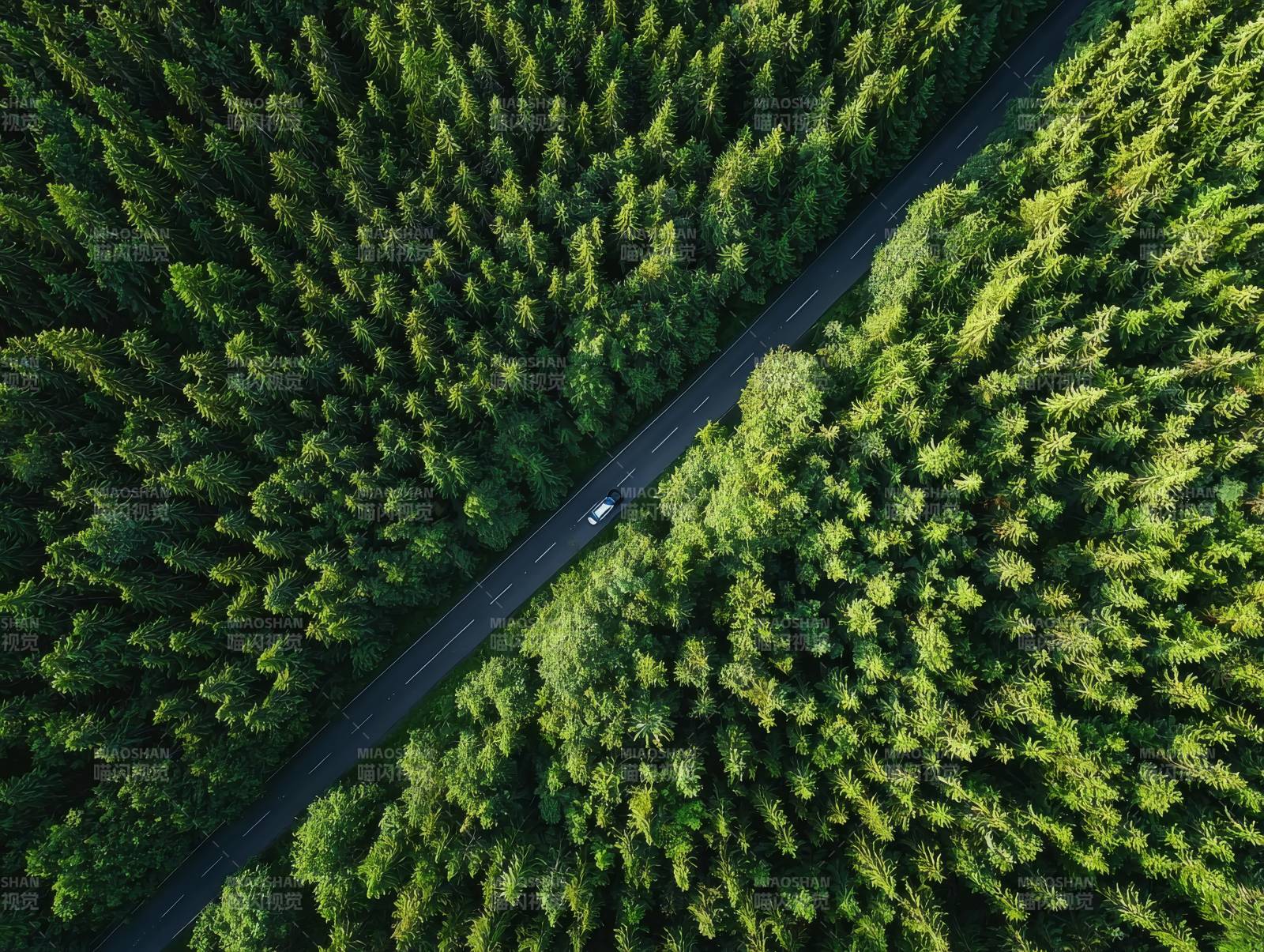 林间公路俯瞰图图片