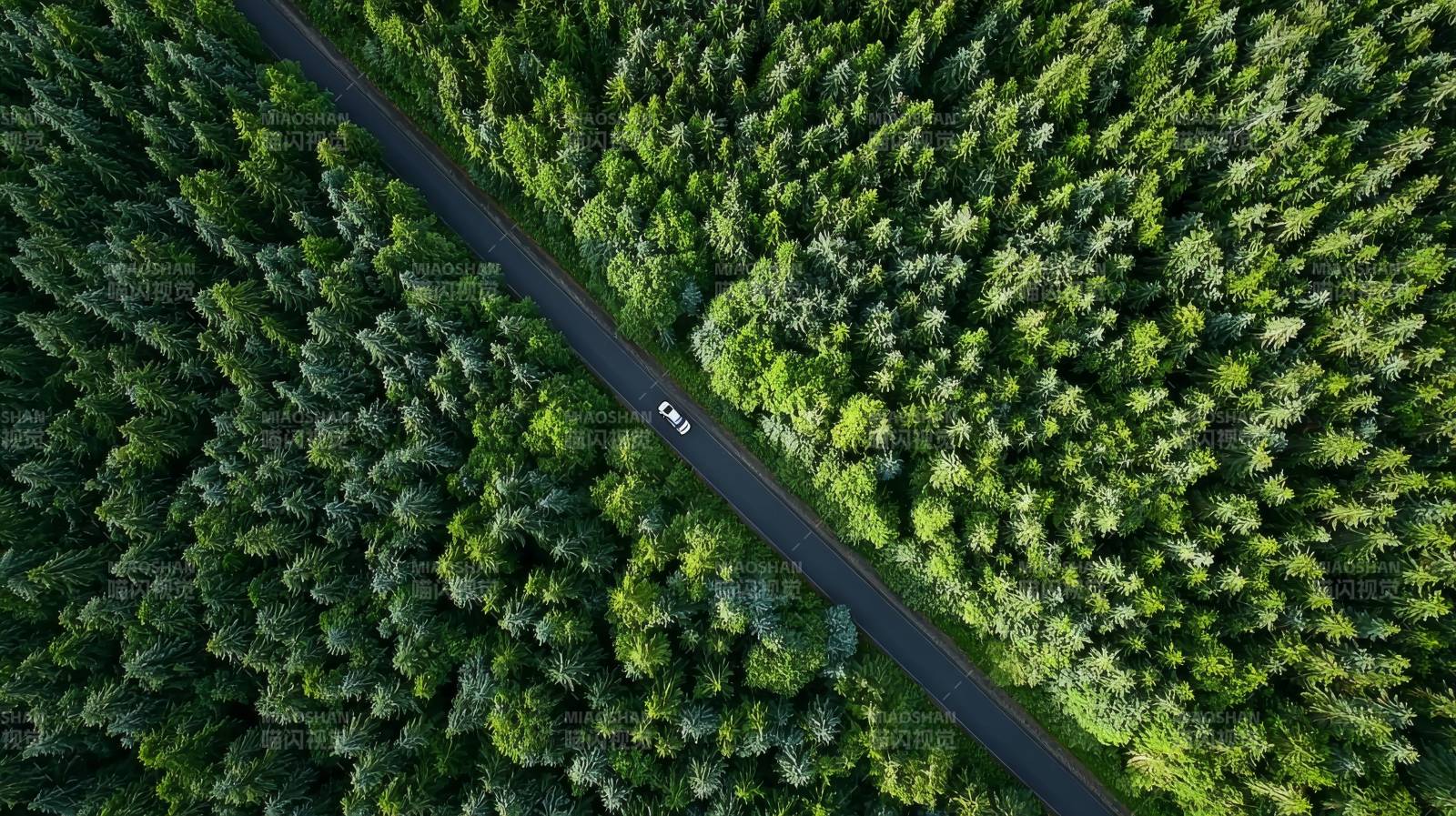 林间公路航拍图片