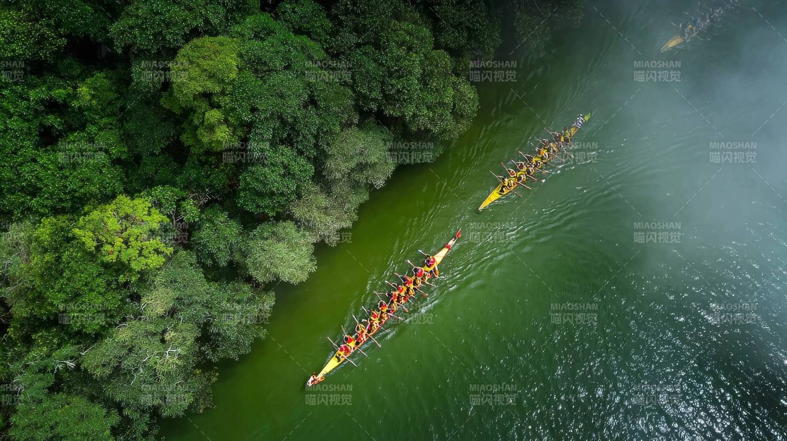 龙舟竞渡绿林间图片