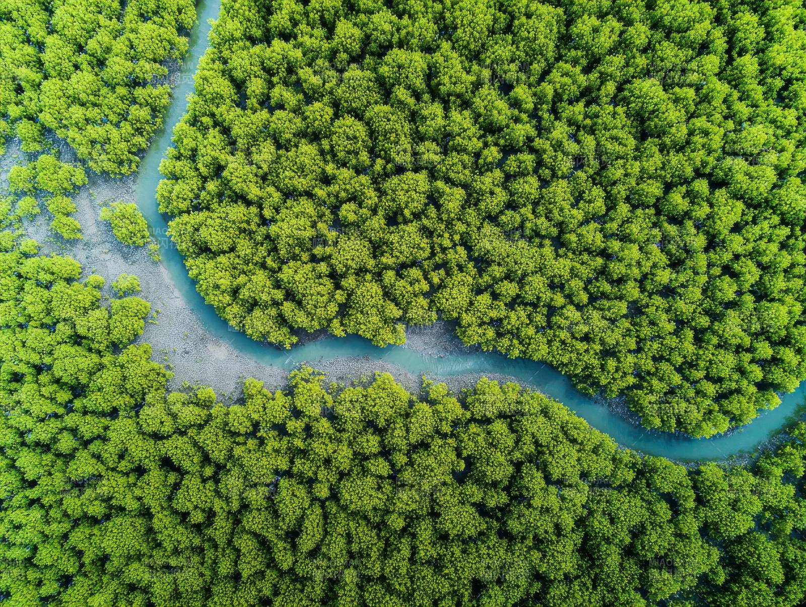 绿林水道航拍图图片