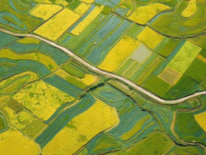 田野经纬图图片