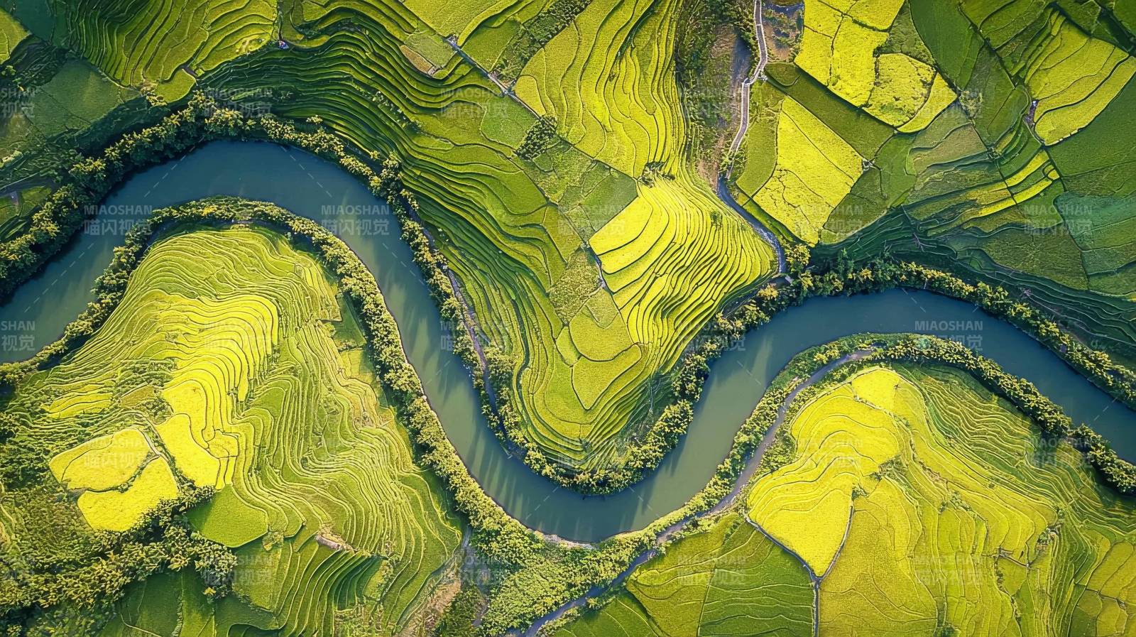 碧水绕绿田图片