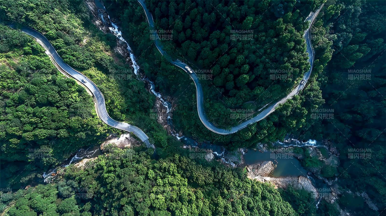 蜿蜒山路穿林间图片