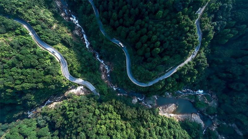 蜿蜒山路穿林间图片