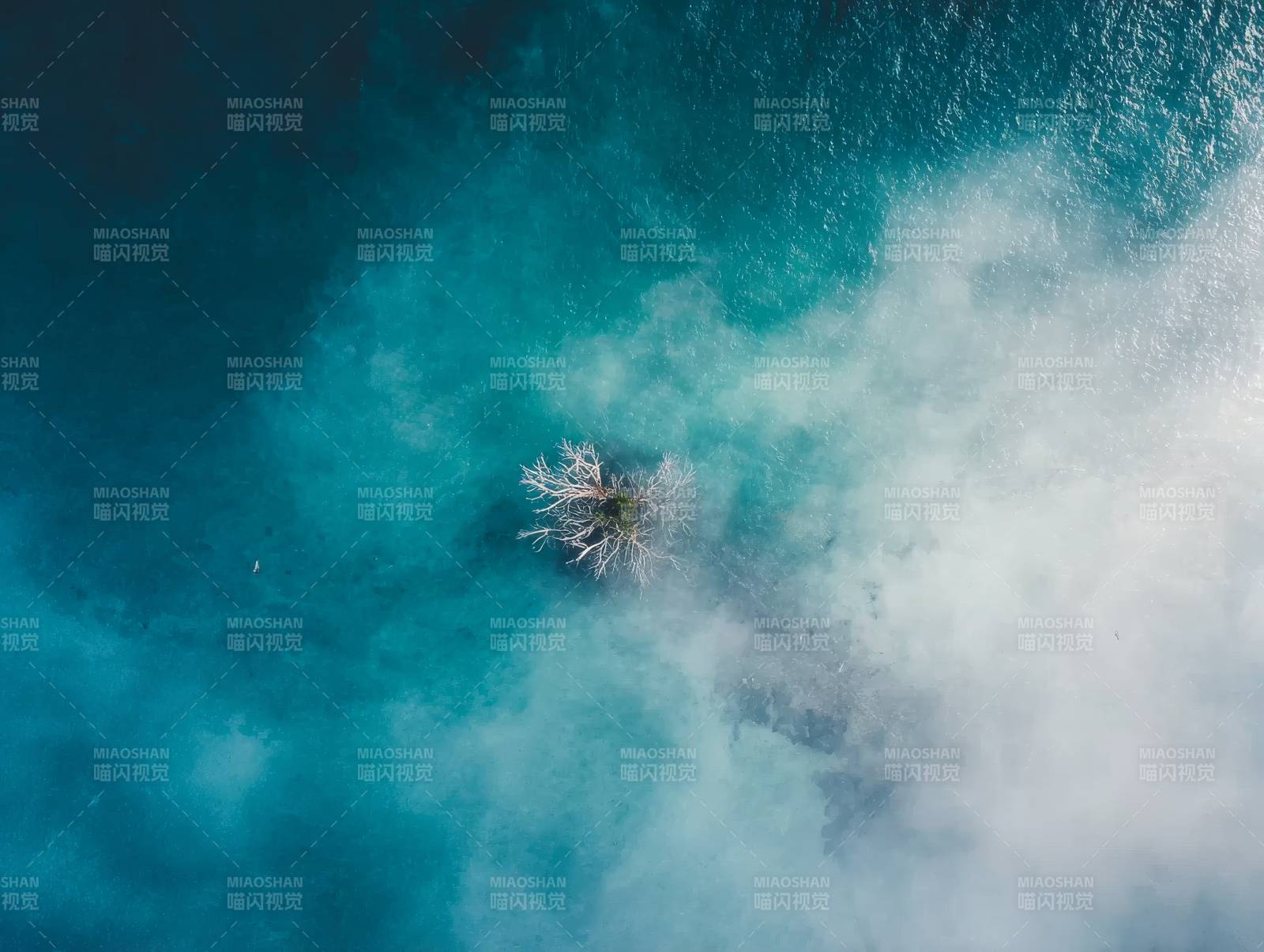 孤树浮云碧海间图片