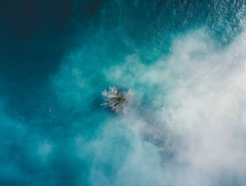 孤树浮云碧海间图片