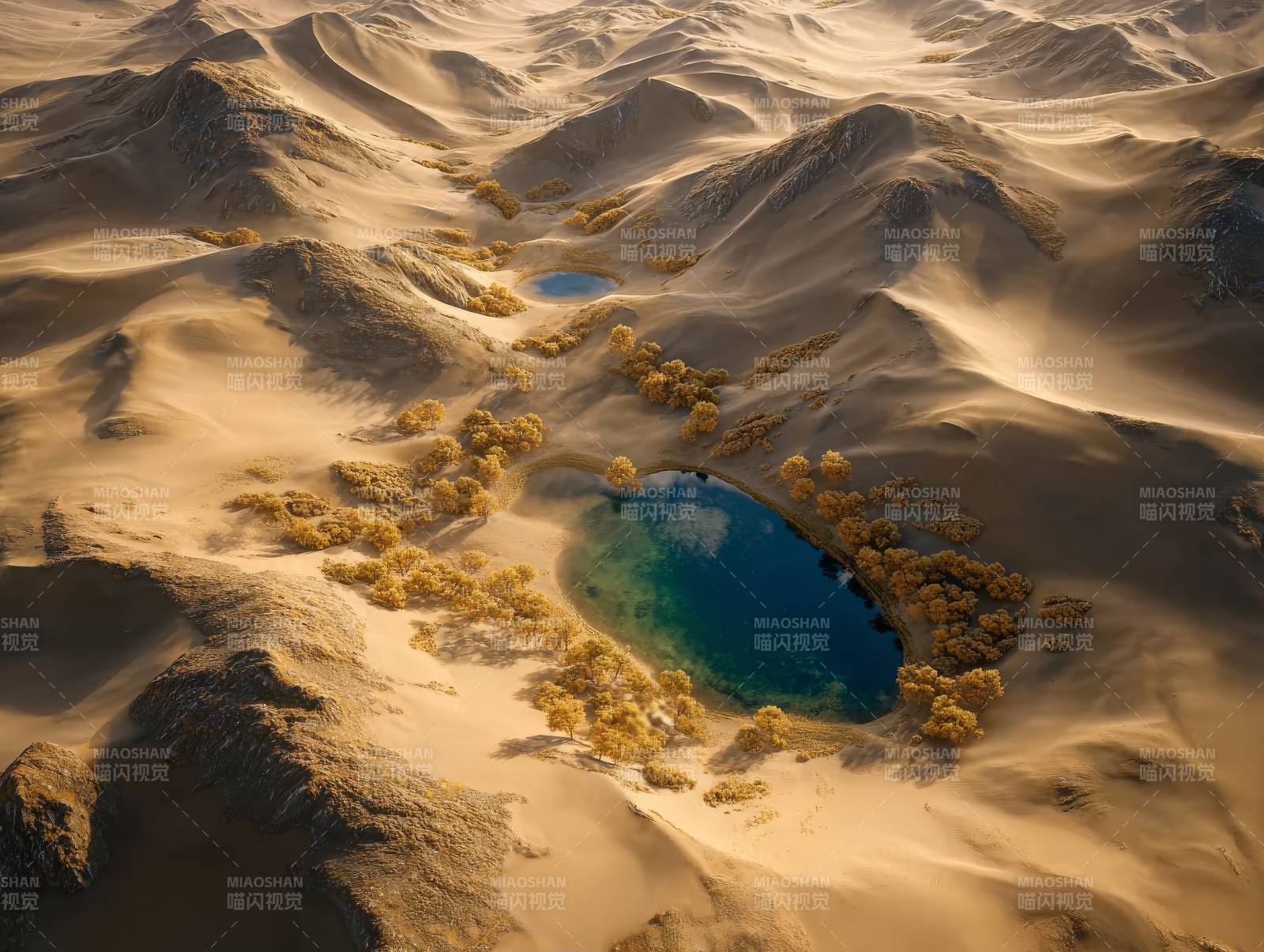 沙漠绿洲奇景图片