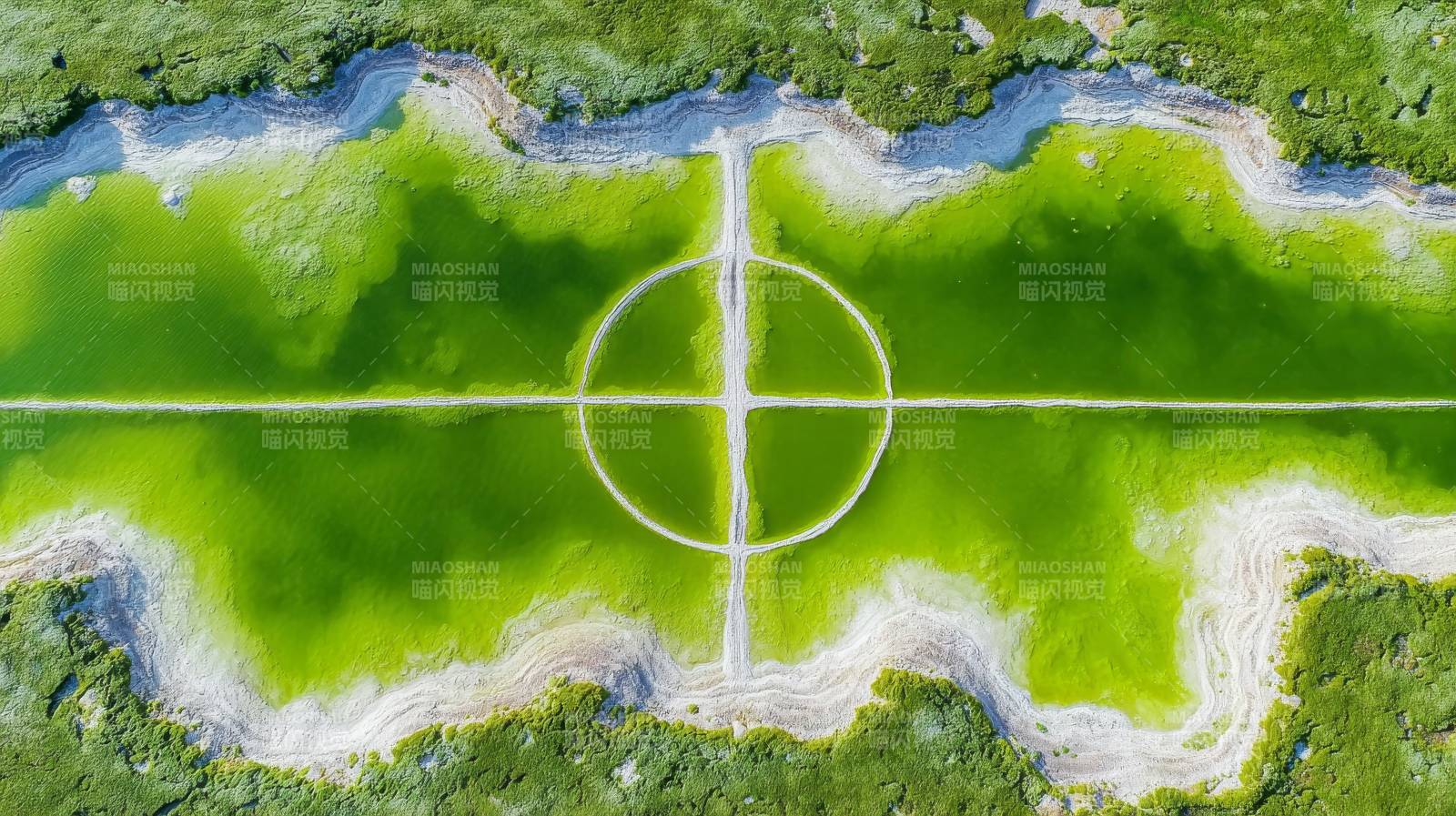 绿洲中的神秘符号图片