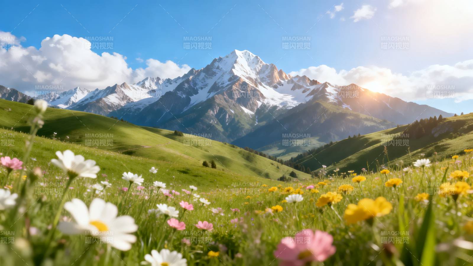 雪山花海春光美图片