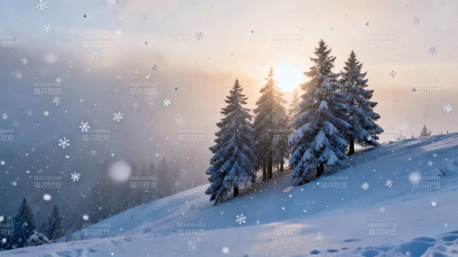 雪落松林晨曦图片