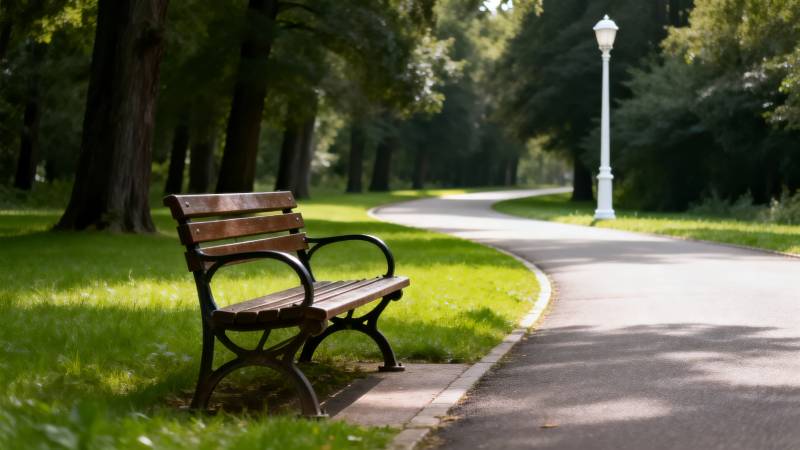 公园长椅静谧景图片