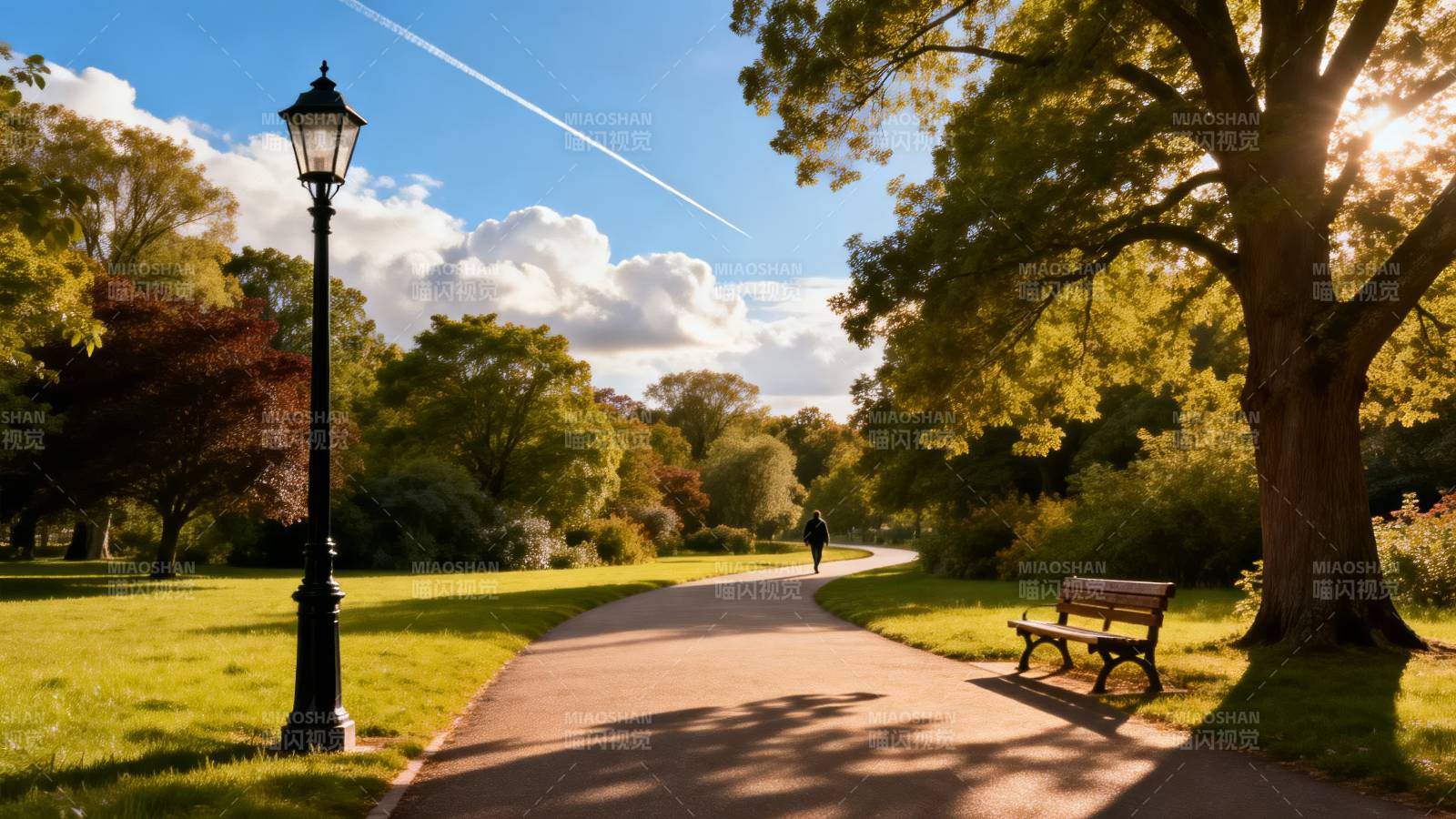 秋日公园小径图片