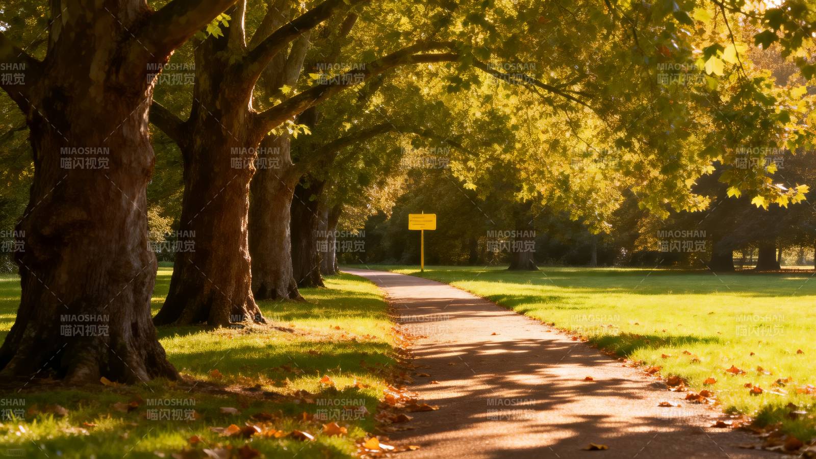 秋日林荫小径图片