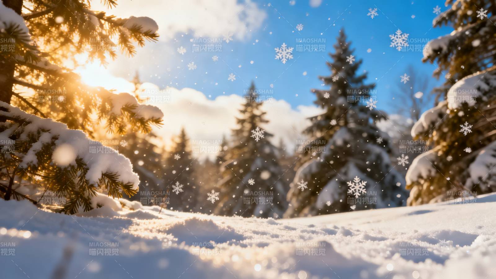 雪落松林 冬日暖阳图片