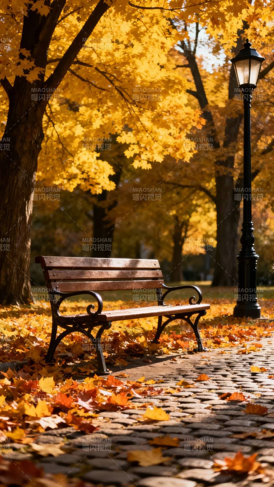 秋日公园静谧景图片