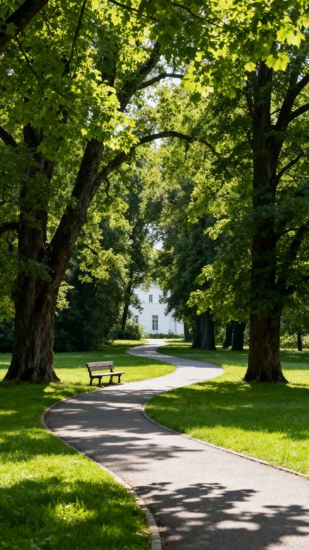 林荫小径静谧景图片