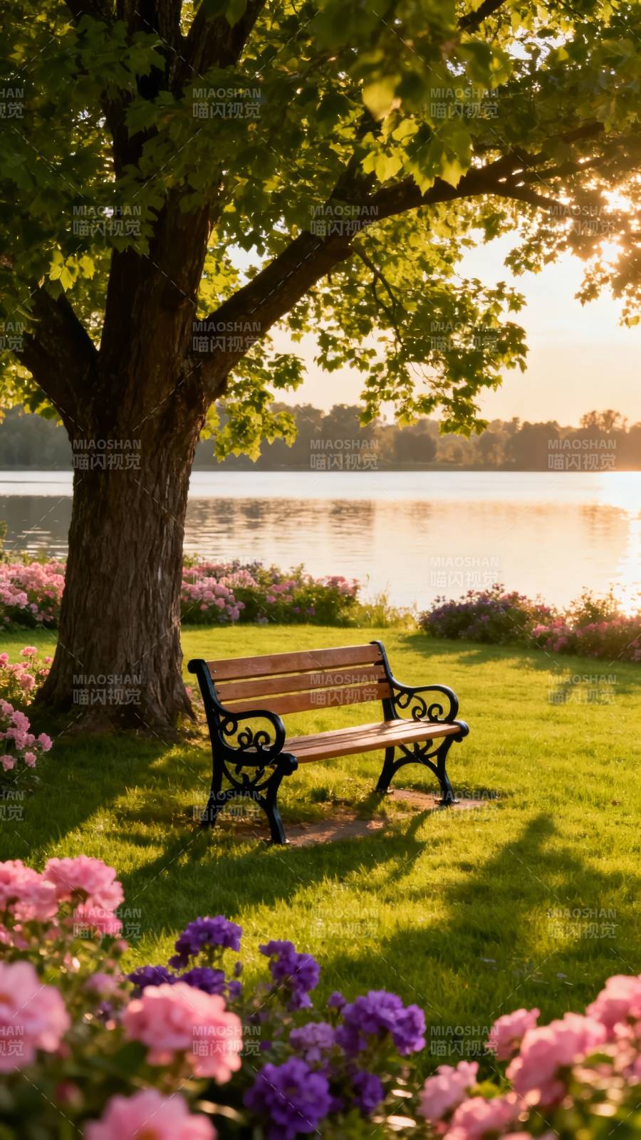湖畔树影静谧椅图片