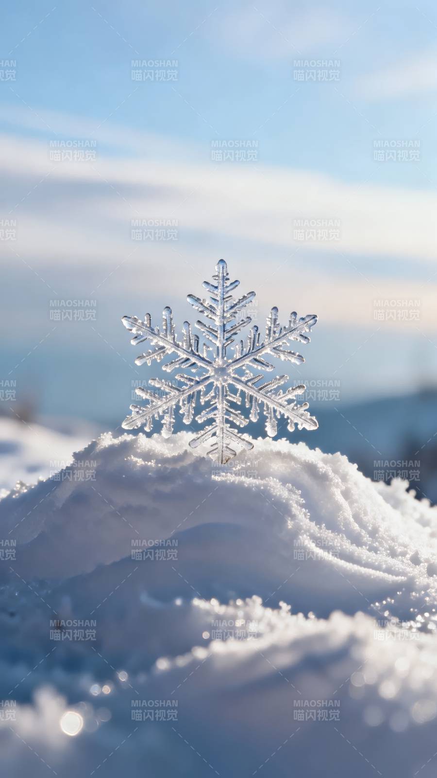 晶莹雪花映蓝天图片