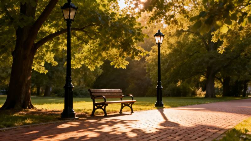 公园秋日静谧景图片