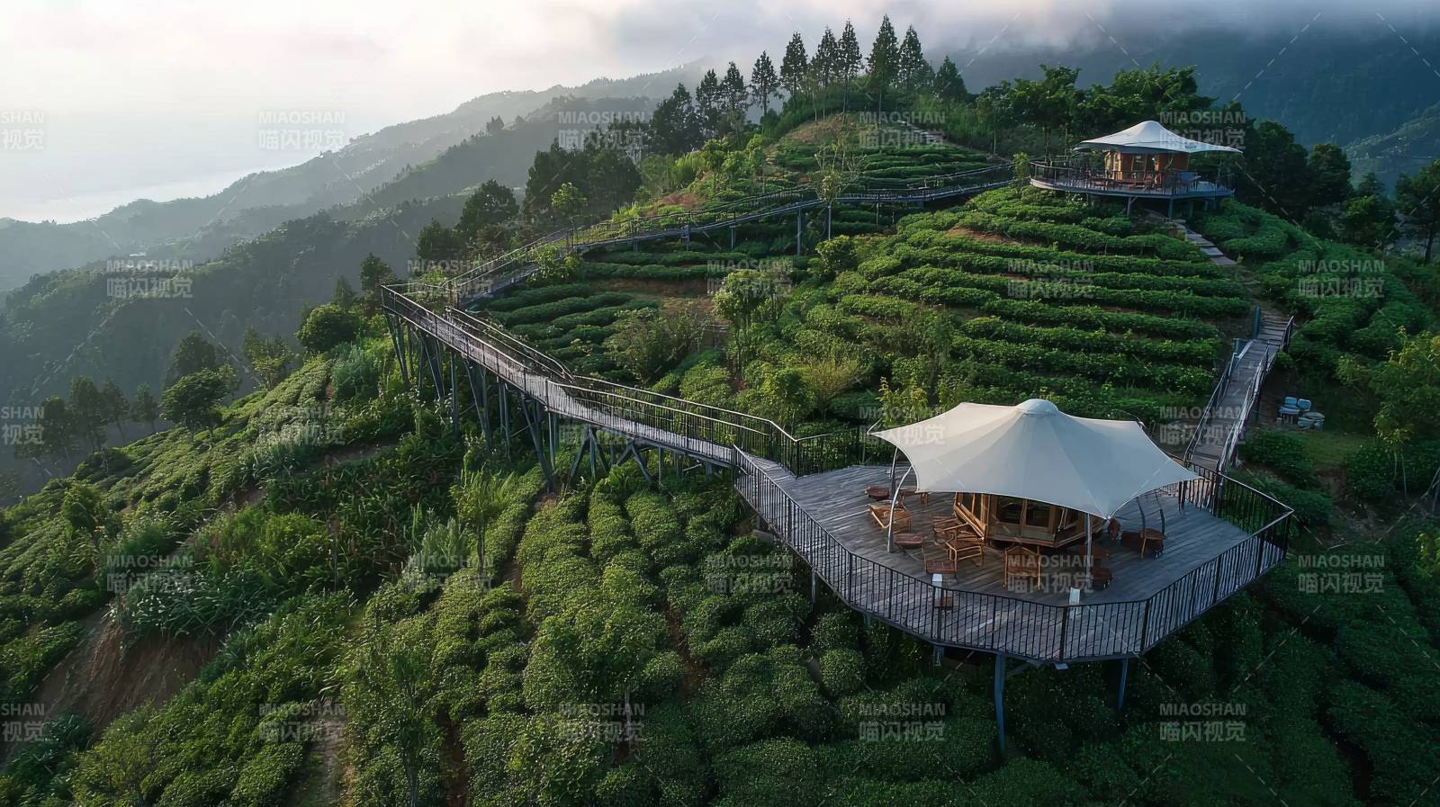 茶园山景步道图片