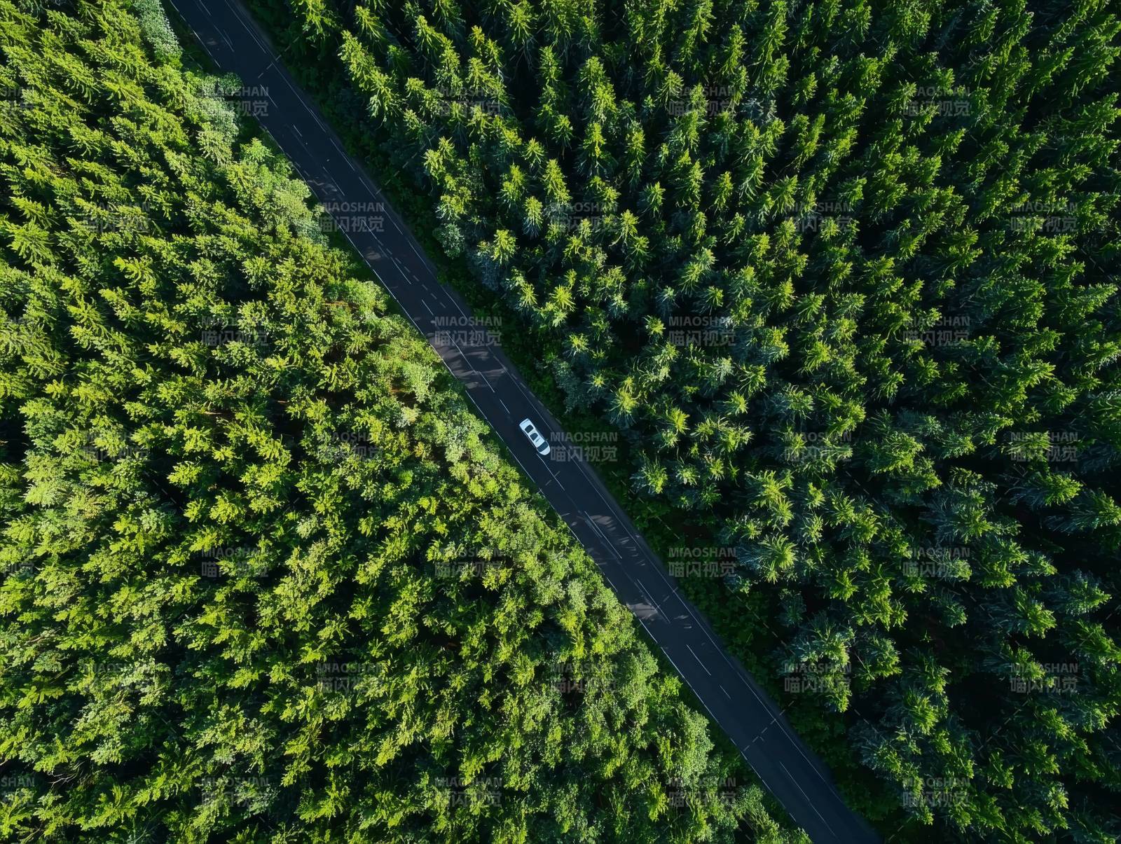 林间公路车影图片