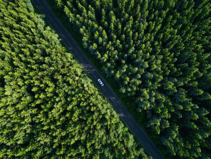 林间公路车影图片