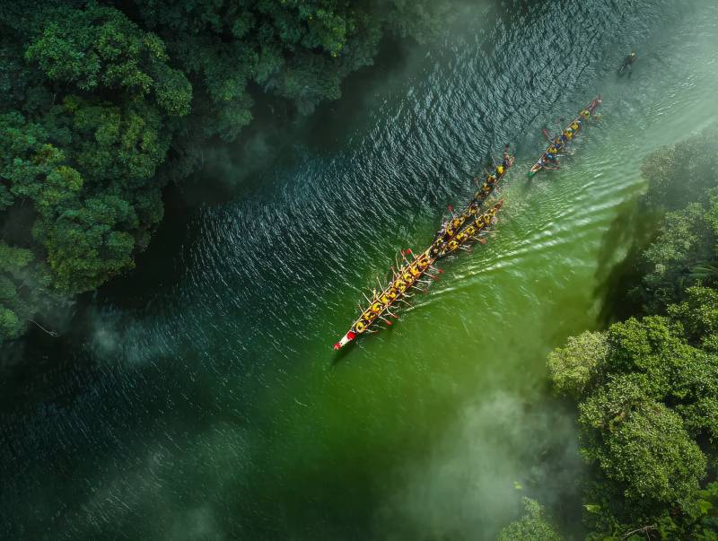 龙舟竞渡绿林间图片