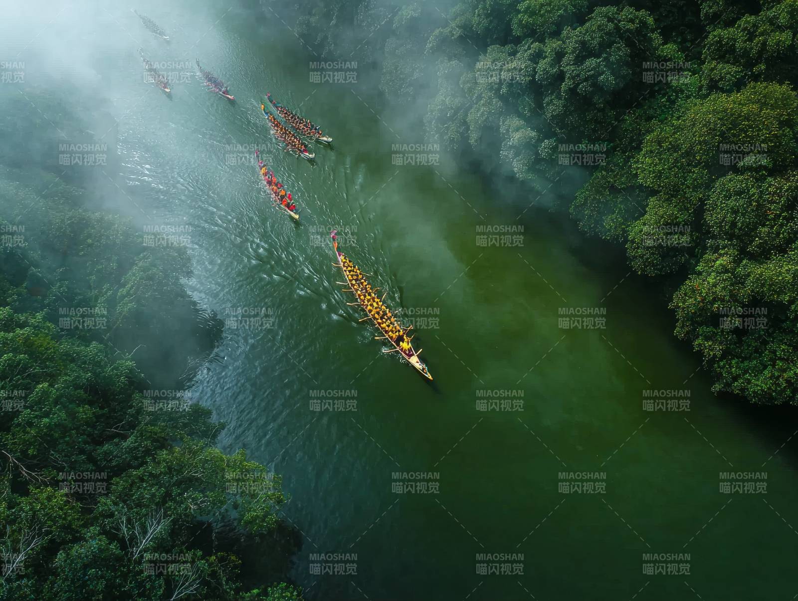 龙舟竞渡烟雨中图片