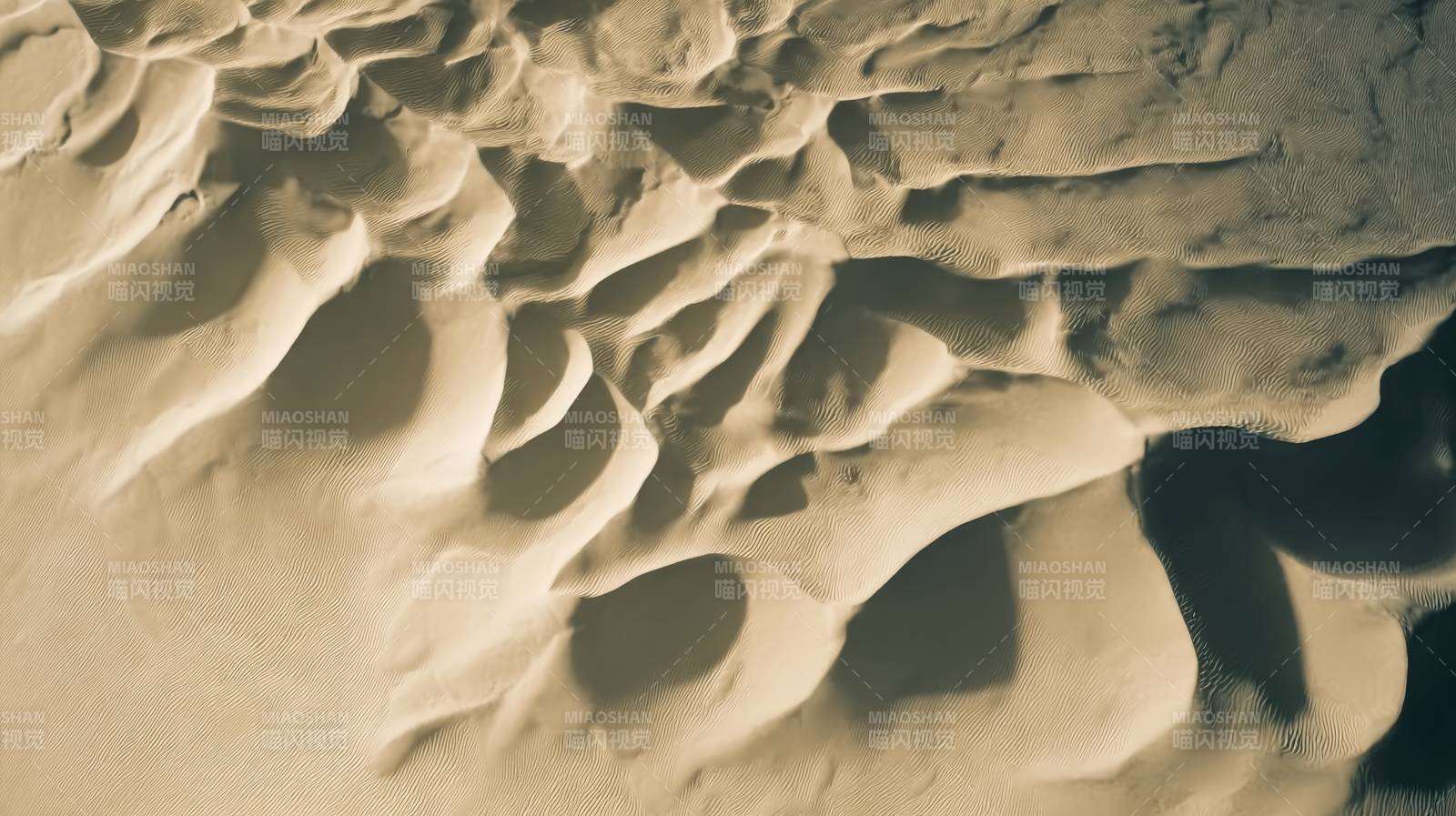 沙丘纹理图片