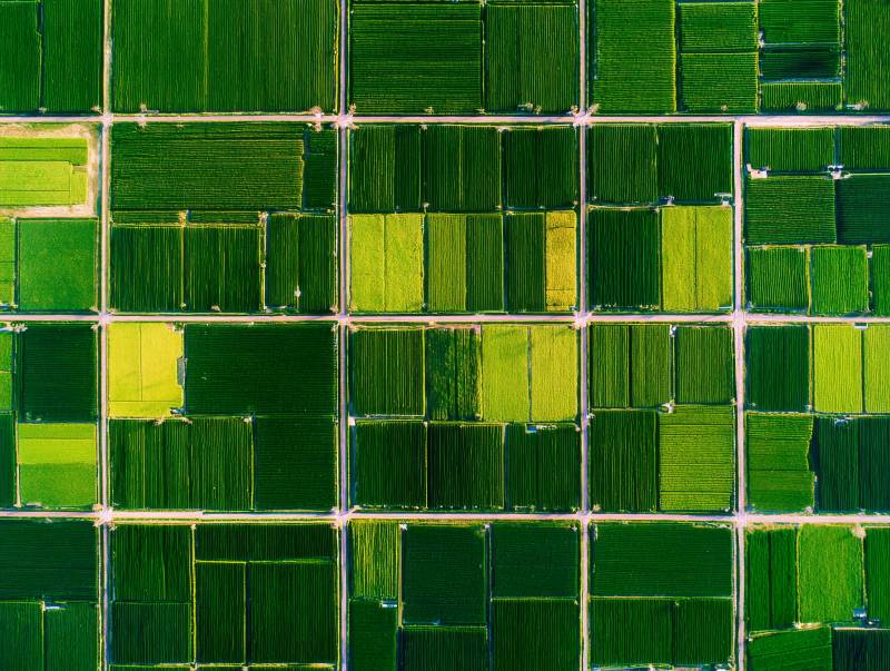 绿野方格图图片