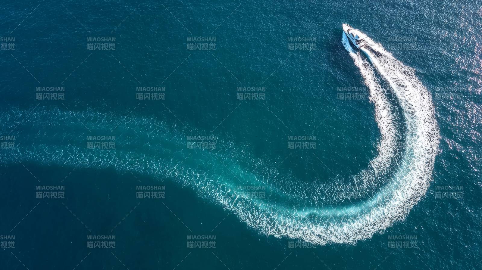 海面疾驰的快艇图片