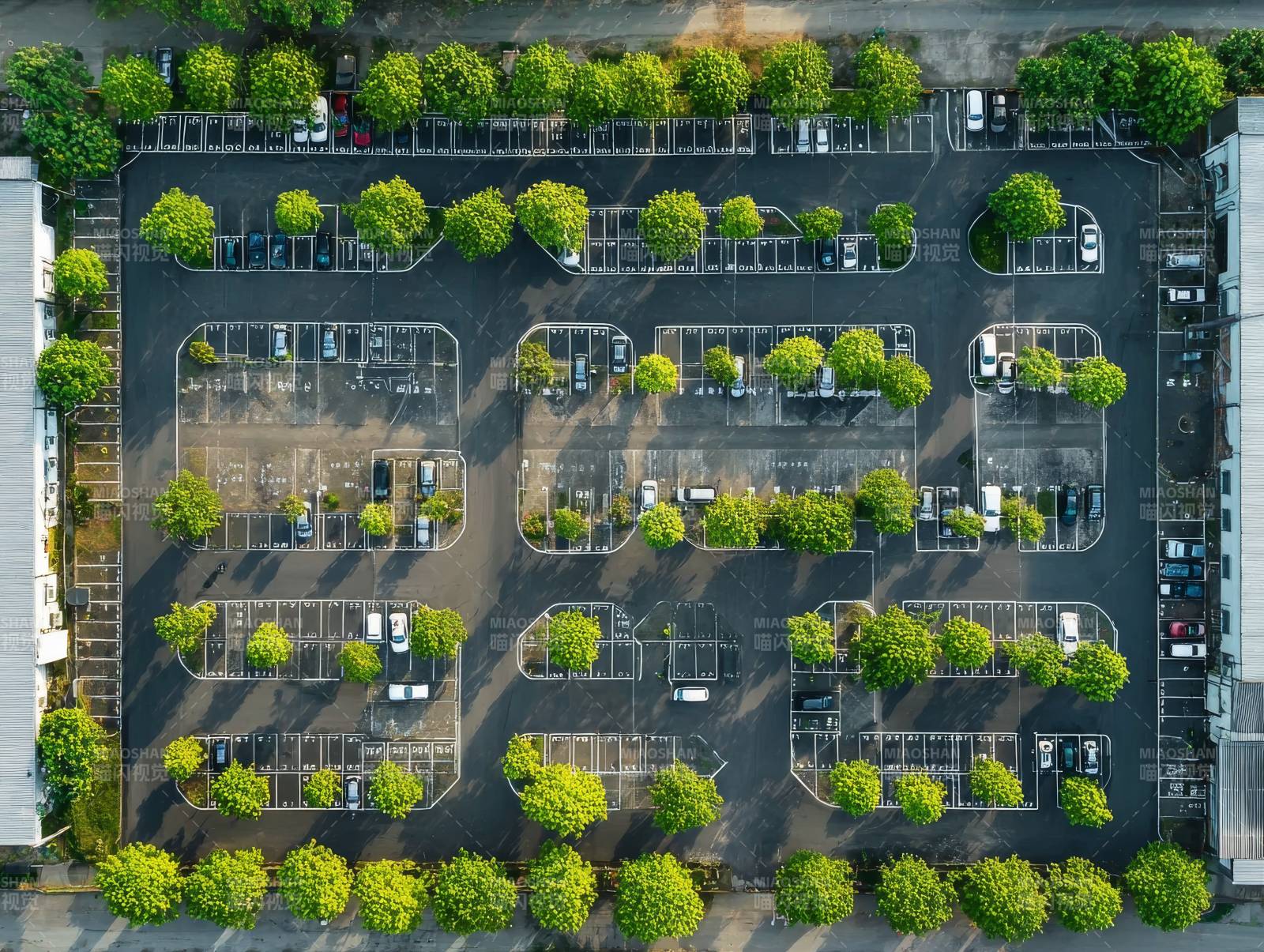 俯瞰停车场绿树成荫图片