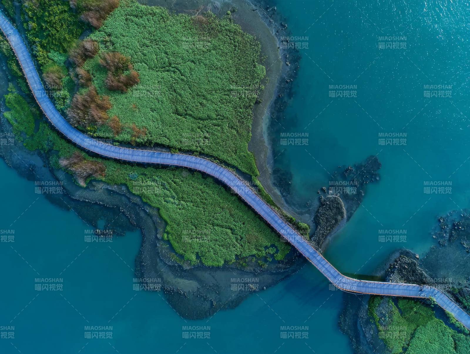 碧水绿洲曲径通幽图片