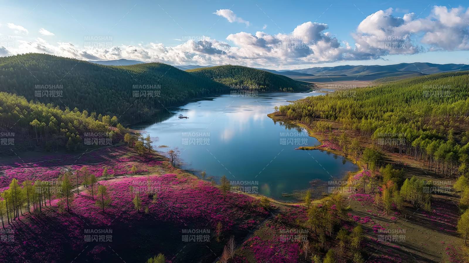 湖畔花海春景图片