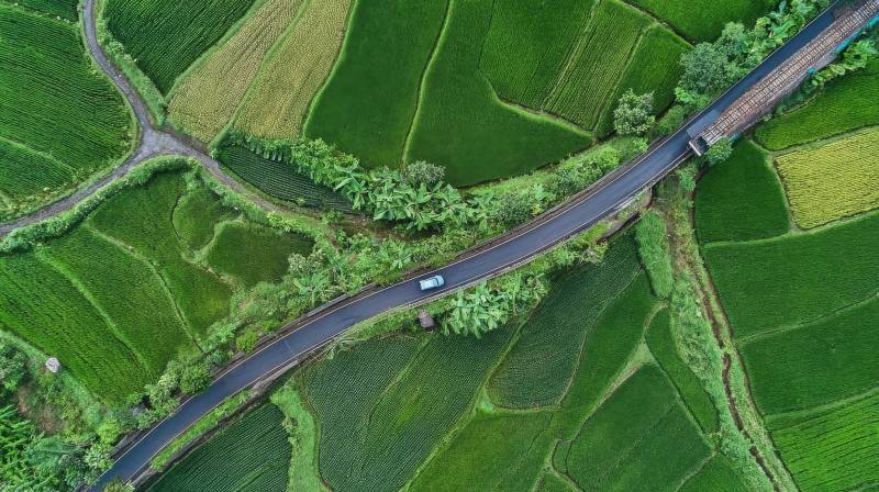 田园公路美景图片
