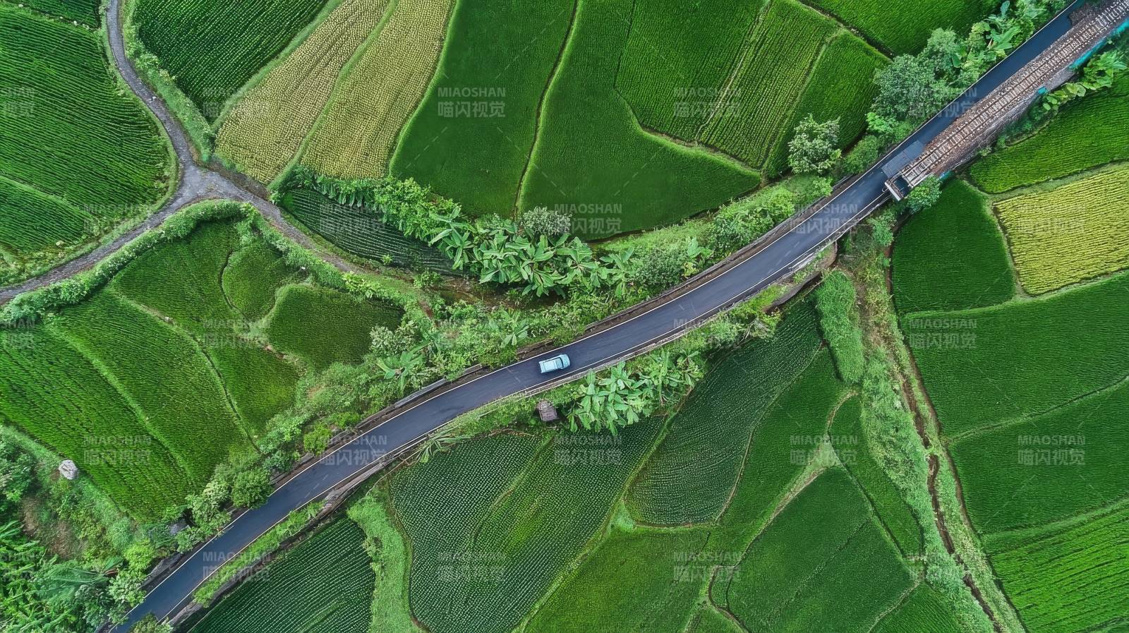 田园公路美景图片