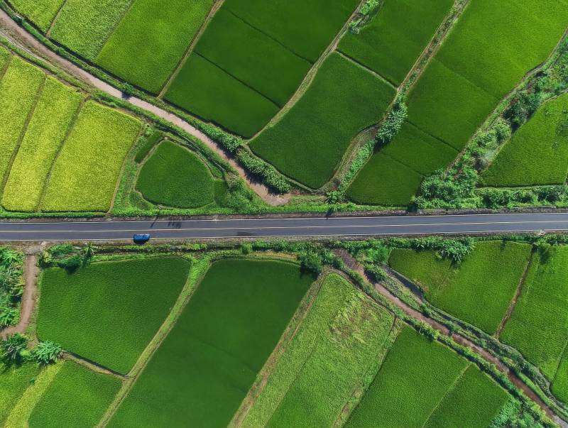 绿野公路航拍图图片