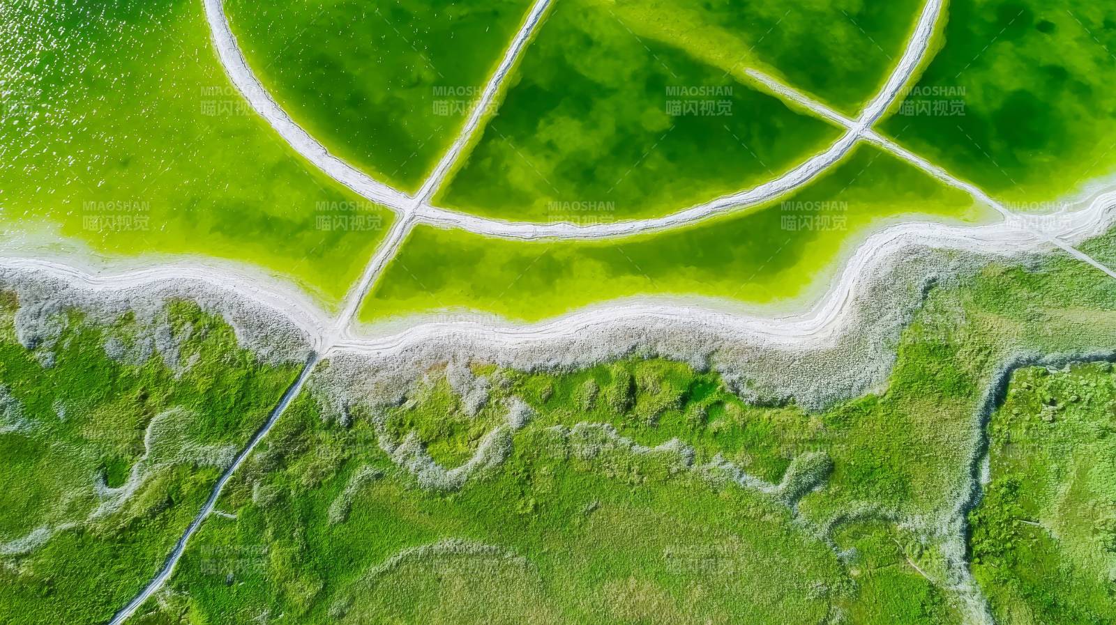 绿野上的足球场图片