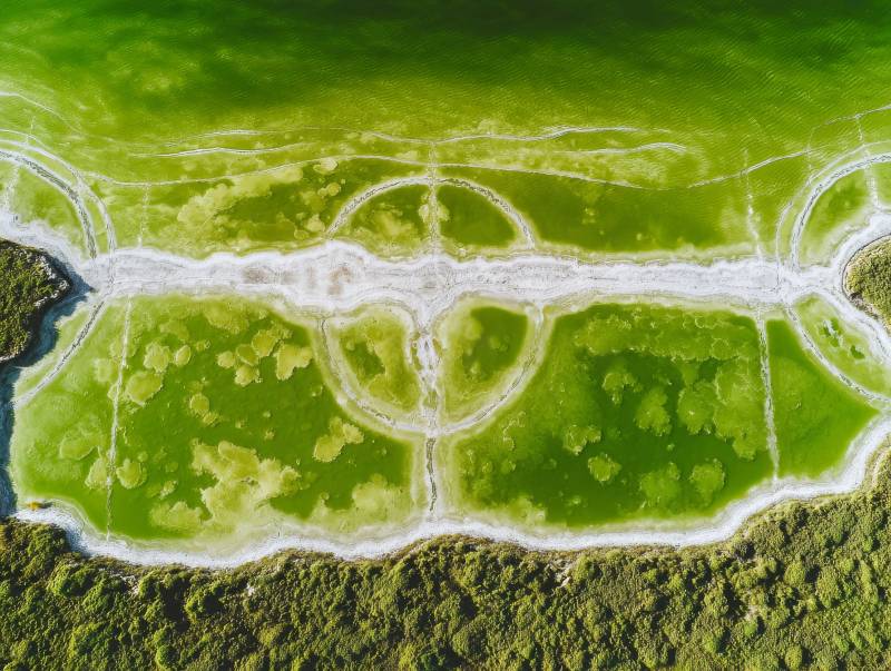 绿野迷宫航拍图图片