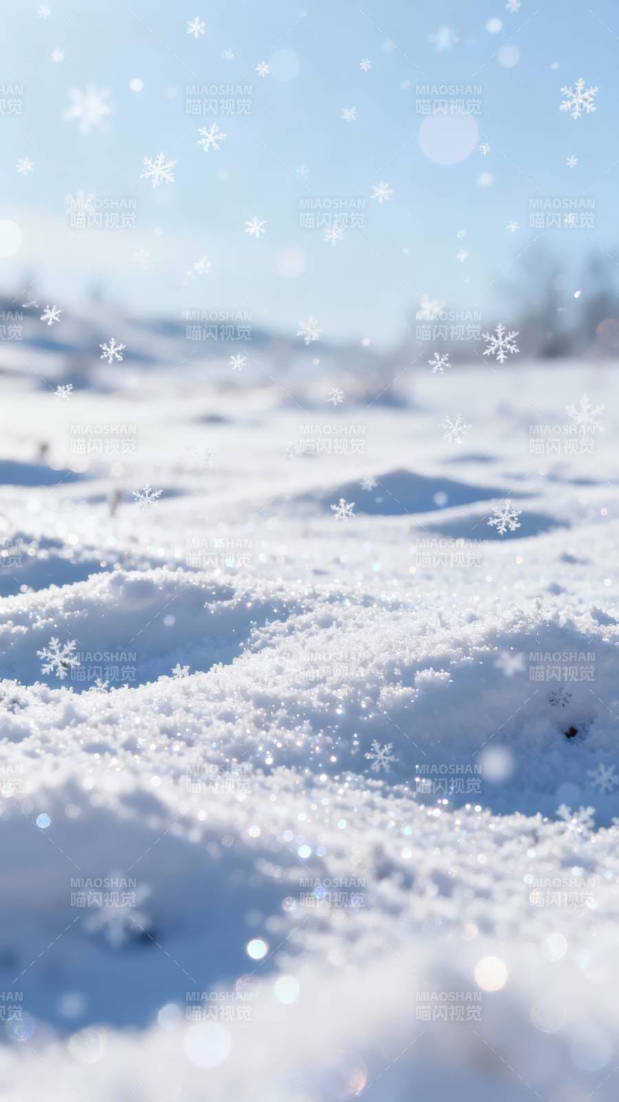 雪落无声 冬日静谧图片