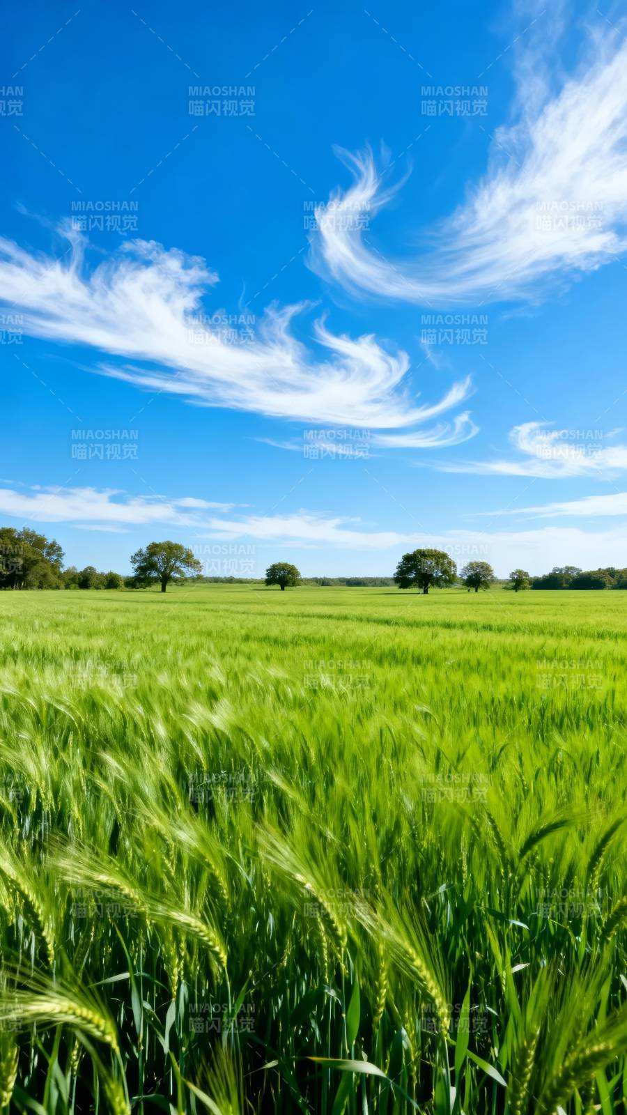 绿野蓝天 云卷风轻图片