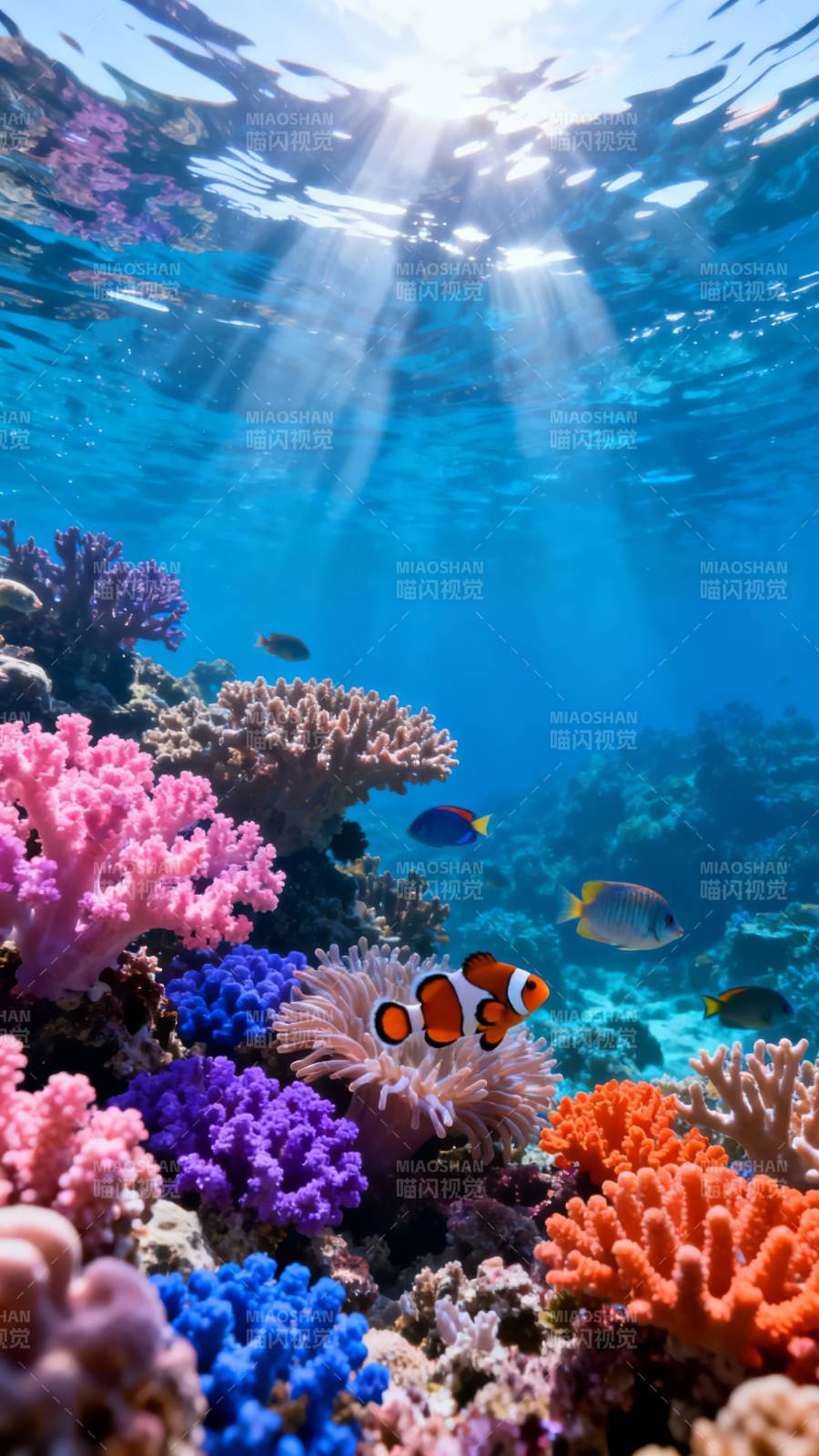 海底珊瑚世界图片