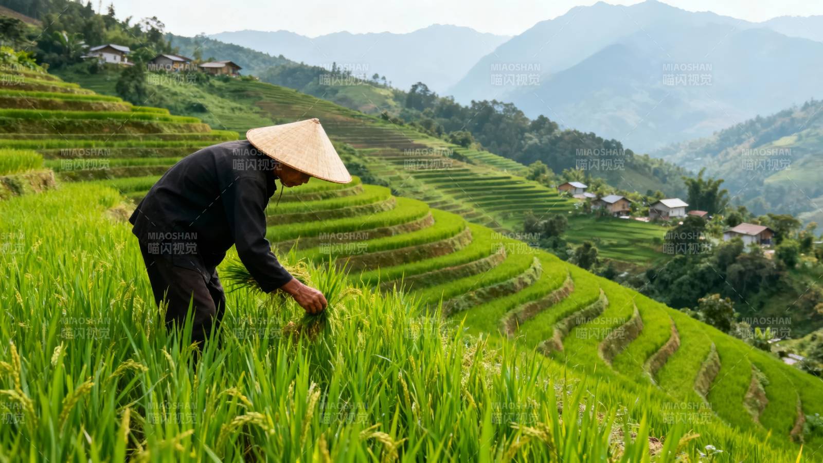 梯田劳作图图片