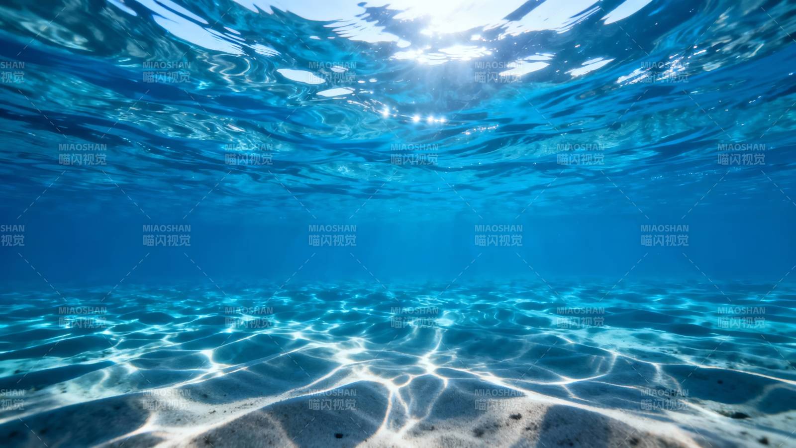 碧海蓝天水下世界图片