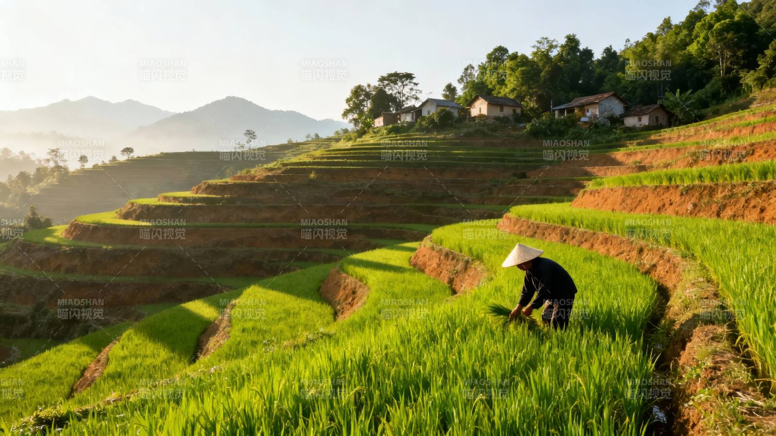 梯田农耕图图片